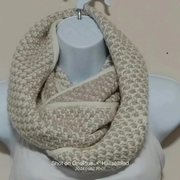 Talbots Accessories - Talbots Infinity Scarf Cream Tan Silver Metallic Knit